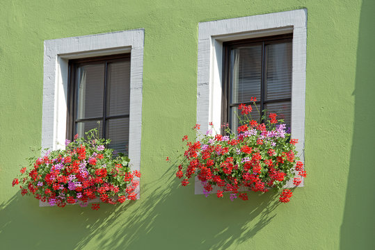 Window with geranium planter