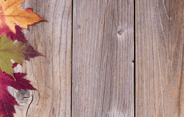 Autumn leaf decorations on rustic wooden boards