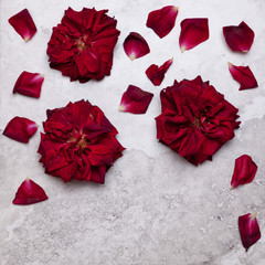 Red garden rose flowers with rose petals  on marble table
