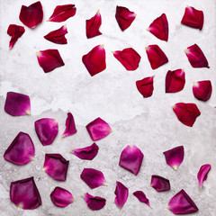 Red rose petals  on marble surface