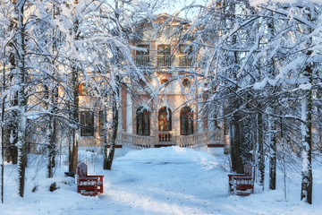 wood bench in winter