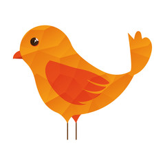 bird cartoon colorful animal. side view. vector illustration 