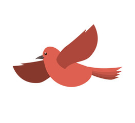 red bird flying cartoon colorful animal. side view. vector illustration 