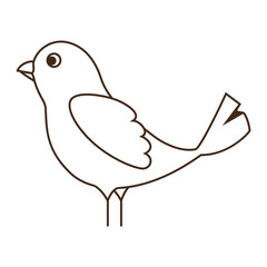 bird animal showing wings. side view. silhouette vector illustration 