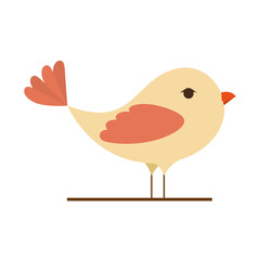 bird cartoon colorful animal. side view. vector illustration 
