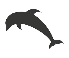 dolphyn cute fish isolated vector illustration design