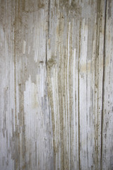 Fototapeta na wymiar old white wood texture with natural patterns background