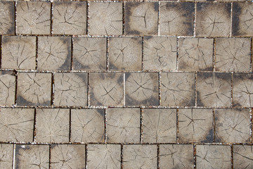 Paving tile made of wood with natural patterns background