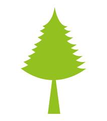 Obraz premium tree pine christmas icon vector illustration design