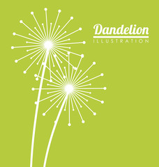 White dandelion icon. Summer seed plant and flower theme. Colorful design. Green background. Vector illustration