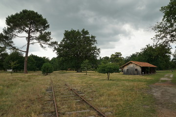 Fototapeta na wymiar rail traversant l'éco musée de Marquèze (sabres)