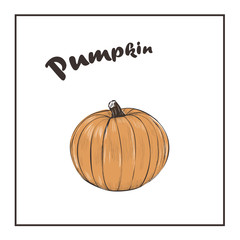Pumpkin. Vector design. Harvest Thanksgiving. Pumpkin for Hallow