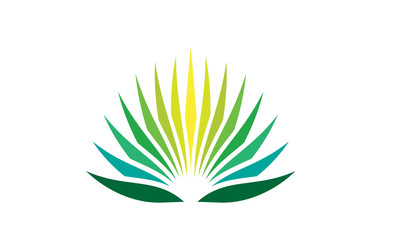 agave plant logo