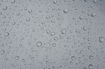 drops of water-repellent surface in black & white