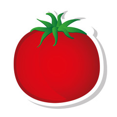 tomato vegetable isolated icon vector illustration design