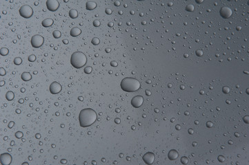 drops of water-repellent surface in black & white