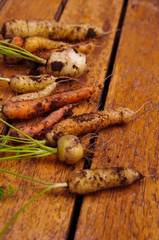 Dozen freshly harvested organic carrots lined up on wooden surface, healthy lifestyle concept