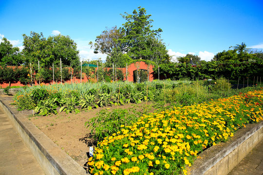 Raised Flower Beds In Kitchen Garden