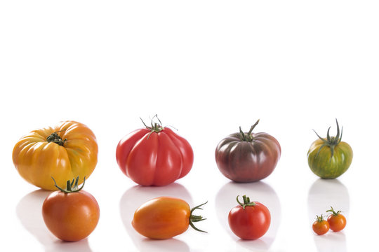 several variety of Heirloom tomatoes