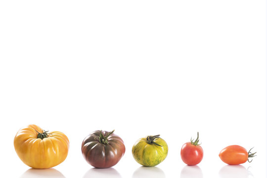 several variety of Heirloom tomatoes