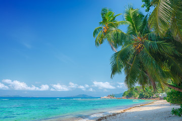 tropical beach anse pasquiere on praslin island seychelles