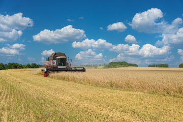 Obraz premium Harvester on a field of wheat