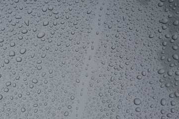 drops of water-repellent surface in black & white