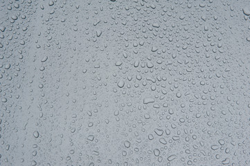 drops of water-repellent surface in black & white
