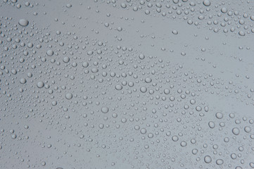 drops of water-repellent surface in black & white