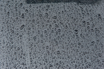 drops of water-repellent surface in black & white