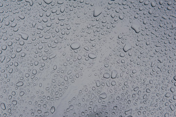 drops of water-repellent surface in black & white
