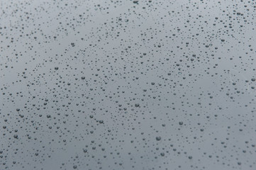 drops of water-repellent surface in black & white
