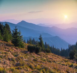 Colorful summer landscape in the Carpathian mountains. Sunset