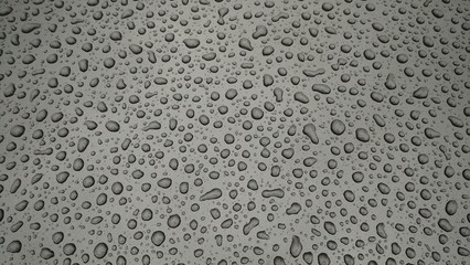 drops of water-repellent surface in black & white