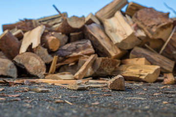 firewood for the winter