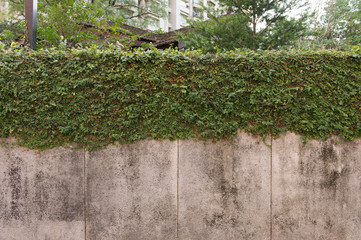 Large blank billboard on a street wall, banners with room to add your own text