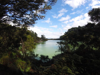 Fototapeta na wymiar View across lake near Rotorua