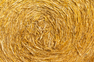 A close-up of a bale of hay