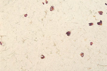 Hand laid speckled paper with rose petals.