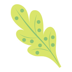 Leaf icon vector illustration.