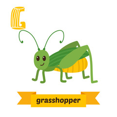 Grasshopper. G letter. Cute children animal alphabet in vector.