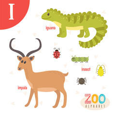 Letter I. Cute animals. Funny cartoon animals in vector. ABC boo