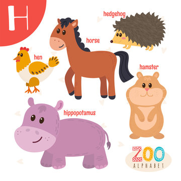 Letter H. Cute animals. Funny cartoon animals in vector. ABC boo