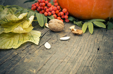 Thanksgiving autumn background
