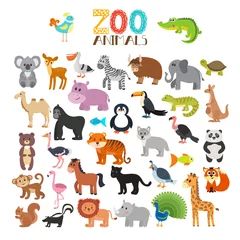 Rolgordijnen Zoo Vector collectie van dierentuindieren. Set van schattige tekenfilm dieren