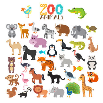 Vector collection of Zoo animals. Set of cute cartoon animals