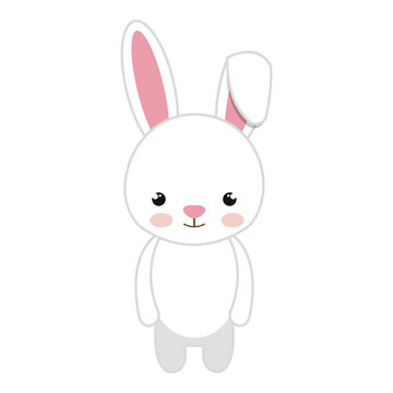 rabbit animal character cute bunny cartoon. vector illustration 