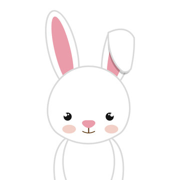 rabbit animal character cute bunny cartoon. vector illustration 