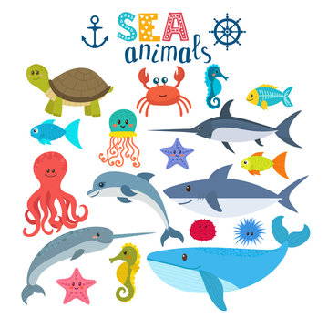 Vector set of sea creatures. Cute cartoon animals