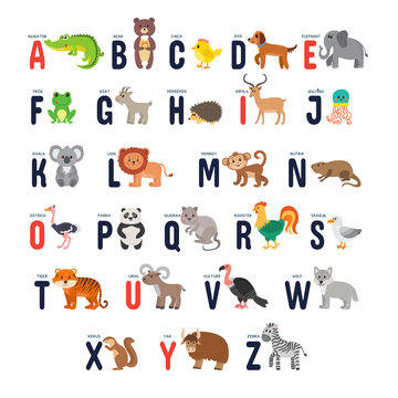 Zoo alphabet with cute cartoon animals